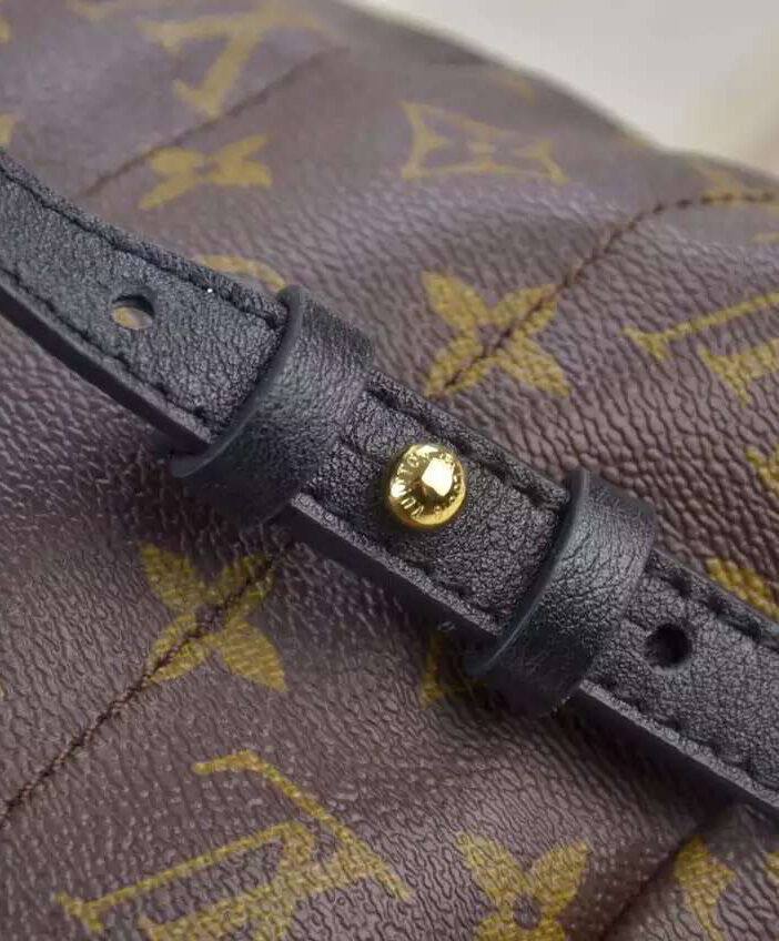 Louis vuitton Palm Springs Backpack MM M41560 Black